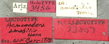 Media type: image;   Entomology 33807 Aspect: labels